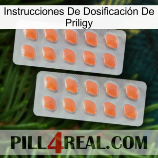 Instrucciones De Dosificación De Priligy 27